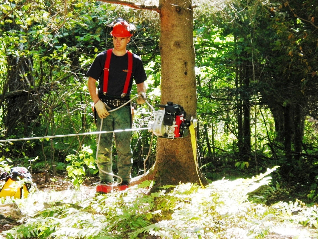 Tree-mount Winch Anchoring System With Rubber Pads